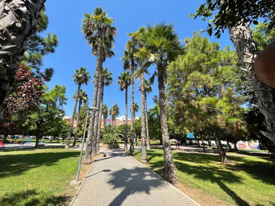 Sol Y Playa Costa Blanca Apartment Torrevieja Exterior photo